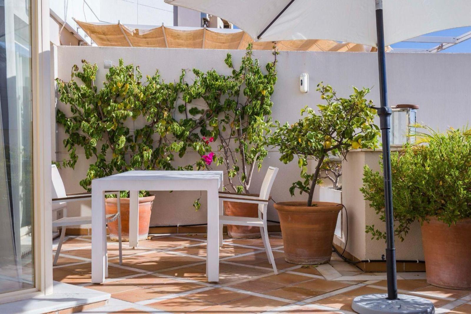 Molo Residences Boutique Apartments & Spa Marbella Eksteriør billede